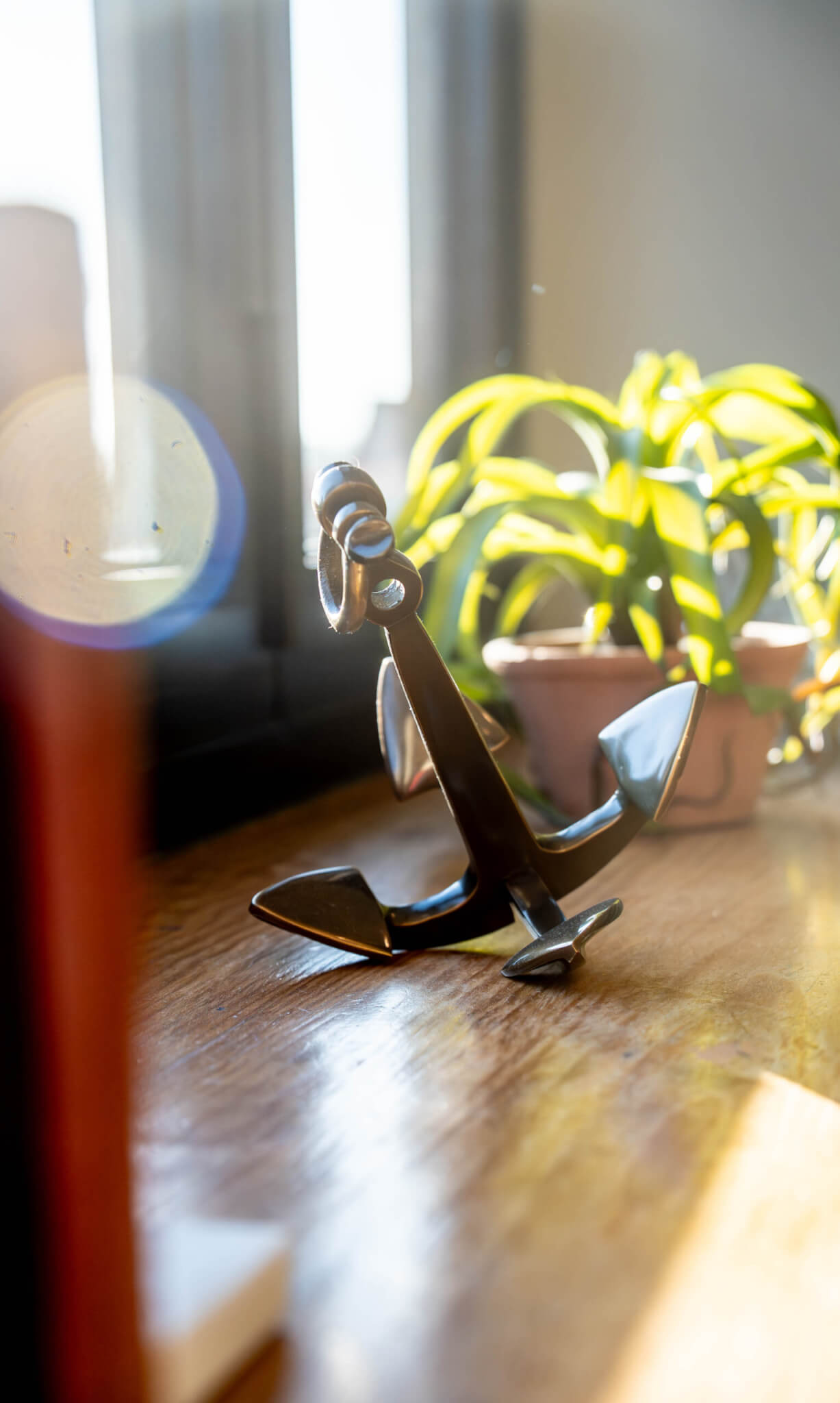 King William Fascinating History scaled